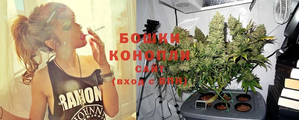 бошки Надым