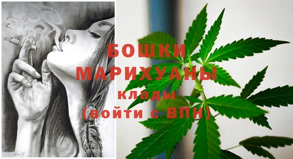 бошки Надым