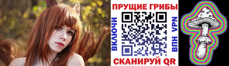 Псилоцибиновые грибы MAGIC MUSHROOMS  Купить закладки  Норильск 